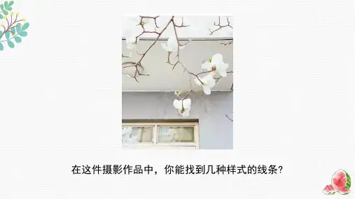 《造型的表现力》精品课件