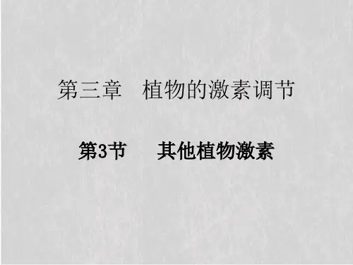 人教版高中生物必修三第3章第3节  其他植物激素  课件.