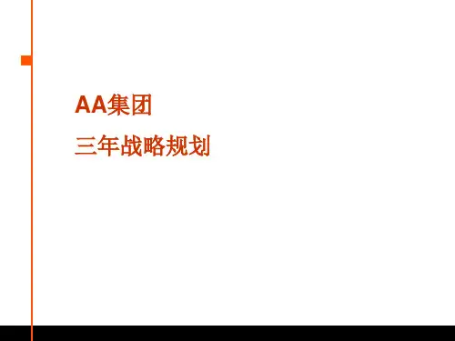 x集团房地产项目三年发展战略规划