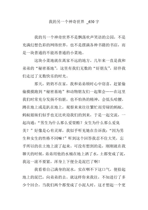 我的另一个神奇世界 _650字