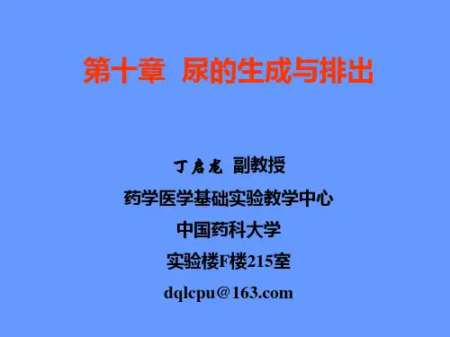 第十章  泌尿系统生理2