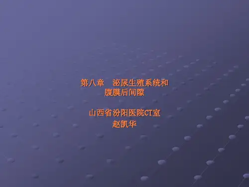 女性生殖系统(教学)ppt课件