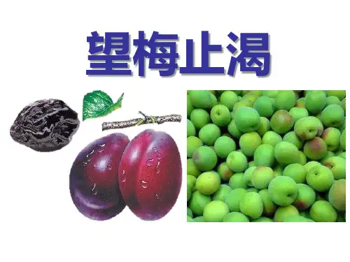 《望梅止渴》PPT课件2