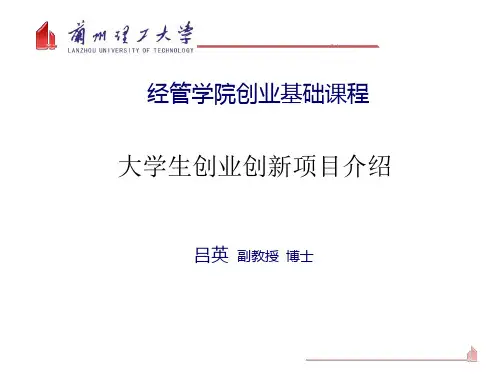 大学生创业创新项目介绍ppt课件