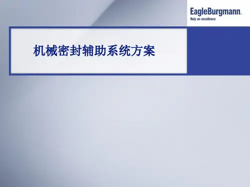 机械密封辅助系统(ppt文档)