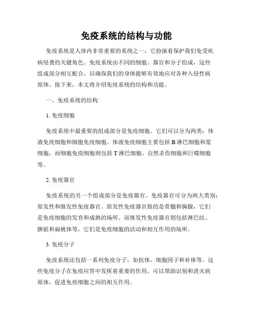 免疫系统的结构与功能