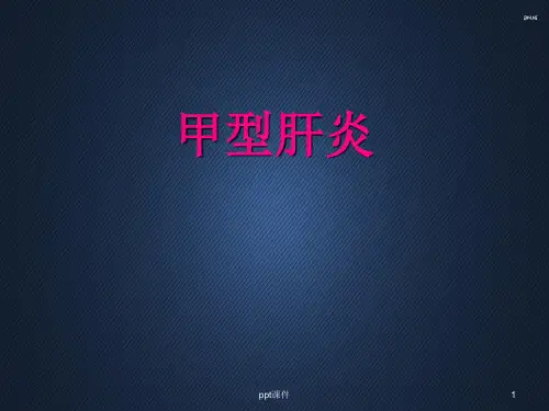 甲型肝炎  PPT课件