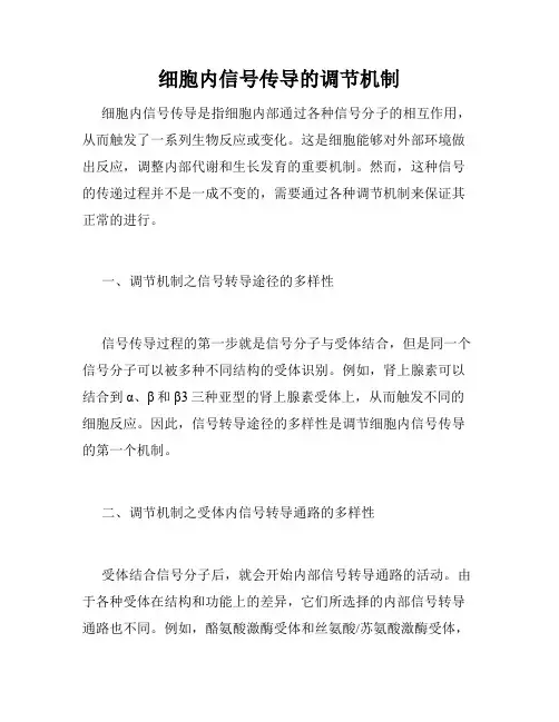细胞内信号传导的调节机制