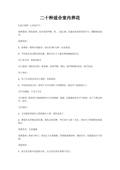 二十种适合室内养花