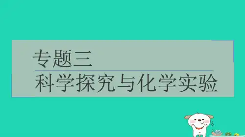 2024九年级化学下册专题三第2讲粗盐的提纯习题课件沪教版