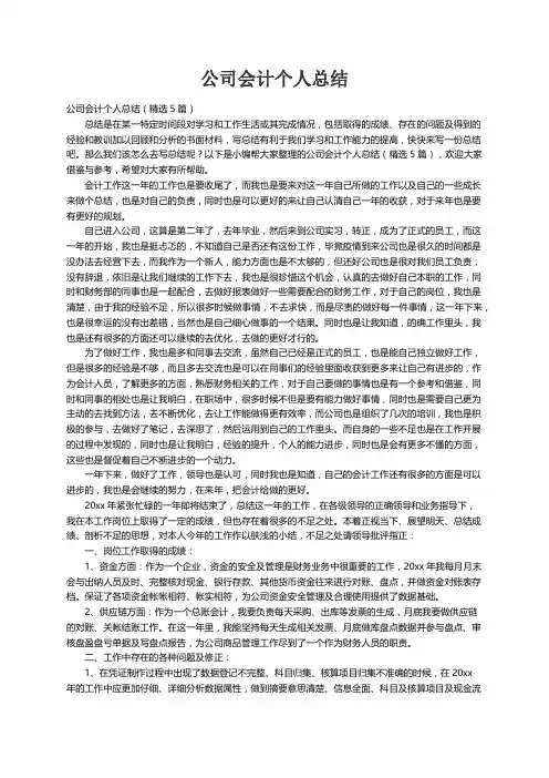 公司会计个人总结（精选5篇）
