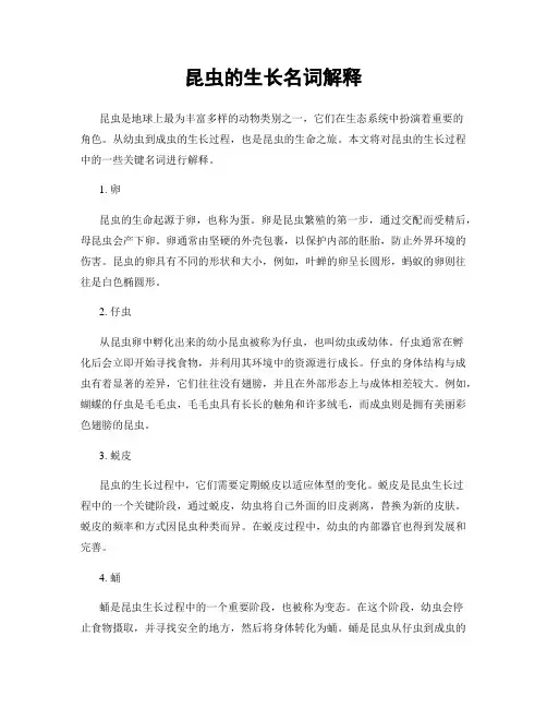 昆虫的生长名词解释