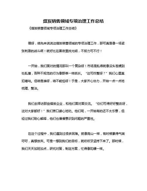 煤炭销售领域专项治理工作总结