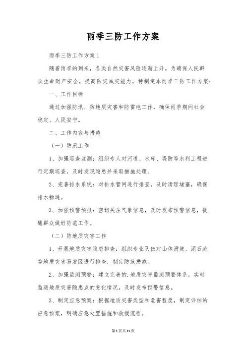 雨季三防工作方案