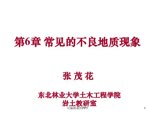 常见的不良地质现象ppt课件