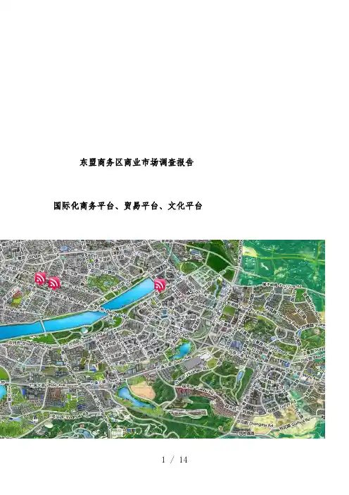 东盟商务区商业市场调查报告范本
