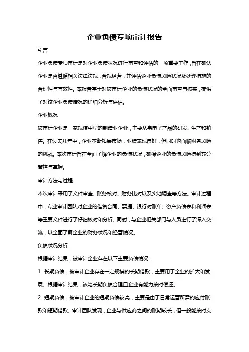 企业负债专项审计报告
