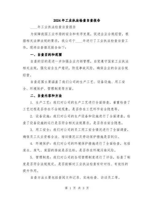 2024年工业执法检查自查报告