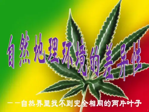 高中地理：自然地理环境的差异性