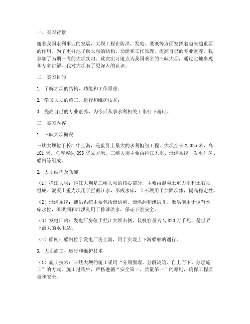 看大坝的实习报告