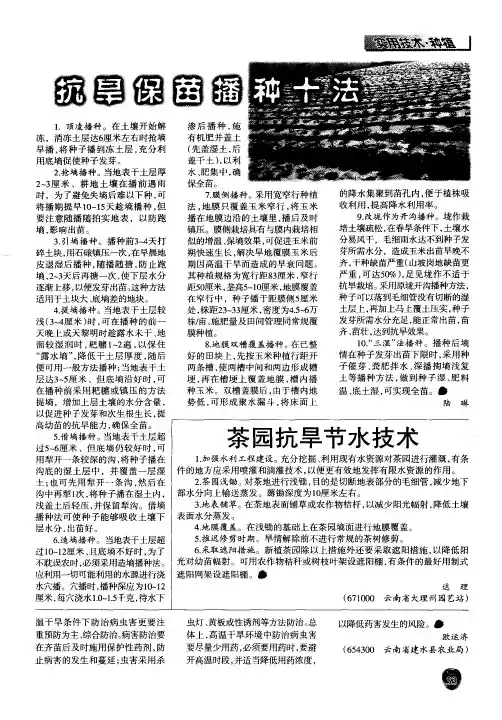 抗旱保苗播种十法