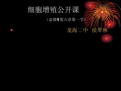 细胞增殖公开课