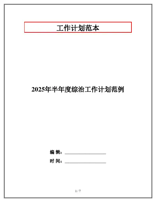 2025年半年度综治工作计划范例
