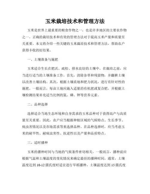 玉米栽培技术和管理方法