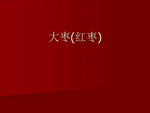 红枣-PPT课件