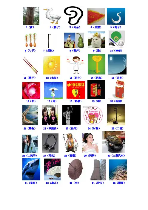 数字密码图片