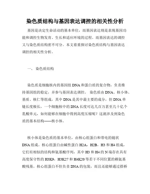 染色质结构与基因表达调控的相关性分析