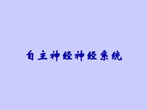 自主神经神经系统