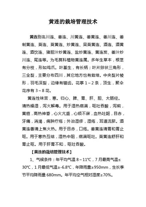 黄连的栽培管理技术