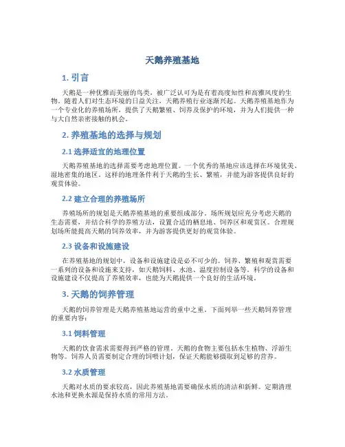 天鹅养殖基地
