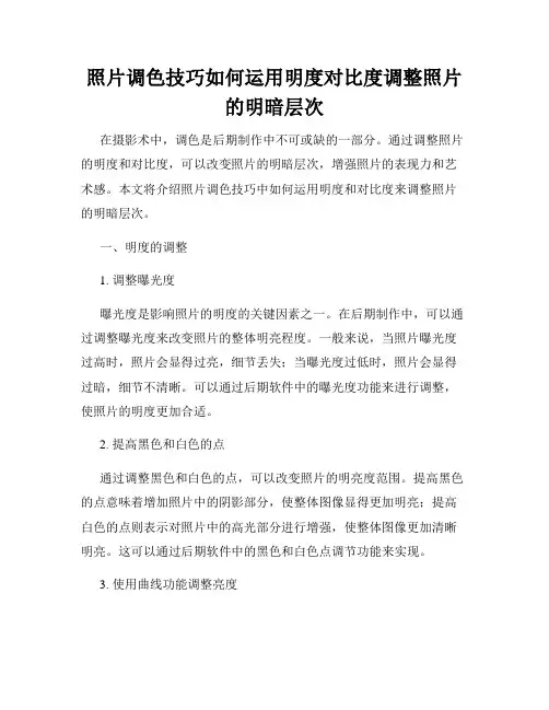 照片调色技巧如何运用明度对比度调整照片的明暗层次