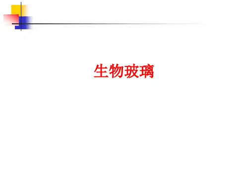第五章生物玻璃1