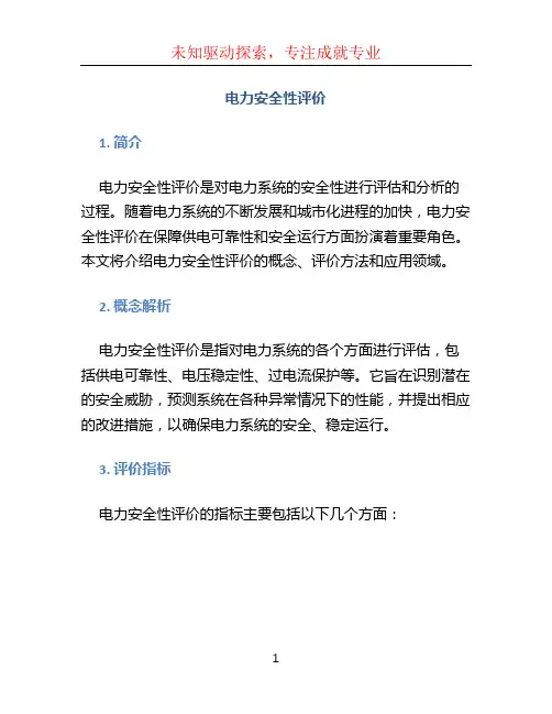 电力安全性评价