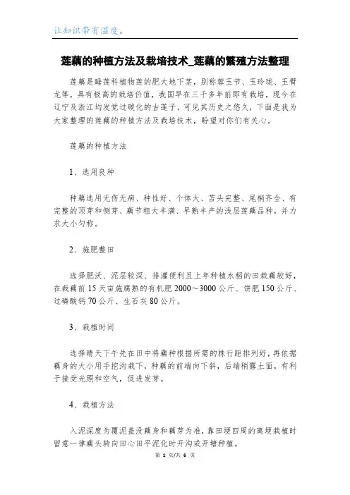 莲藕的种植方法及栽培技术_莲藕的繁殖方法整理