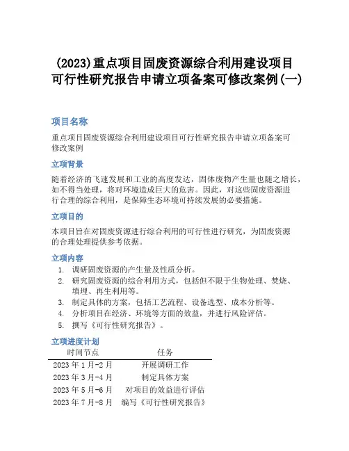 (2023)重点项目固废资源综合利用建设项目可行性研究报告申请立项备案可修改案例(一)