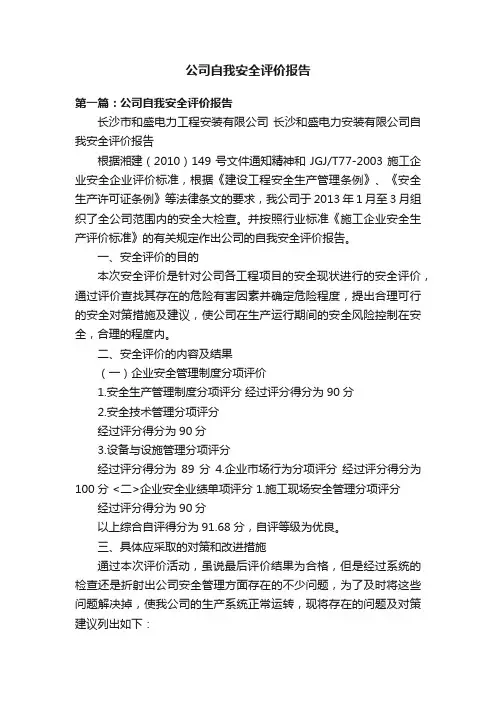 公司自我安全评价报告