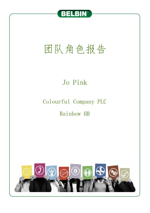 贝尔宾团队角色个人报告