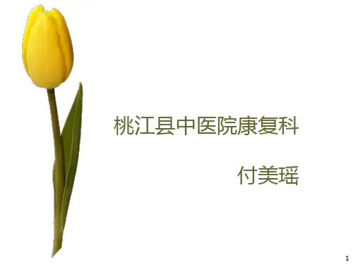作业治疗基础PPT课件