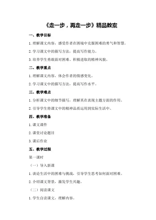 《走一步,再走一步》精品教案