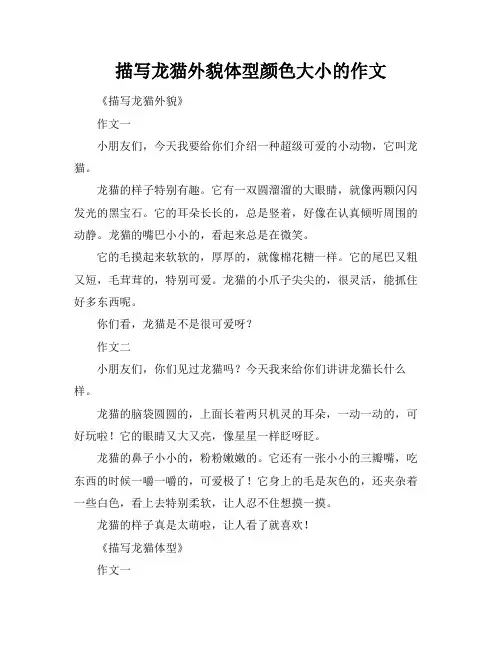 描写龙猫外貌体型颜色大小的作文