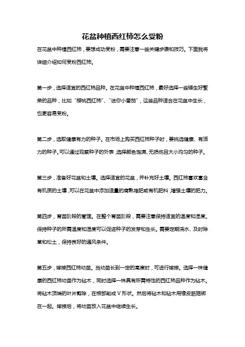 花盆种植西红柿怎么受粉