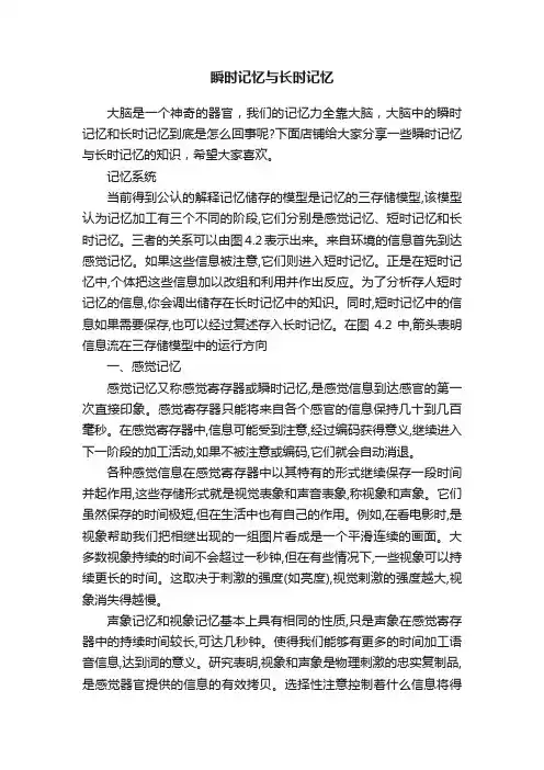 瞬时记忆与长时记忆