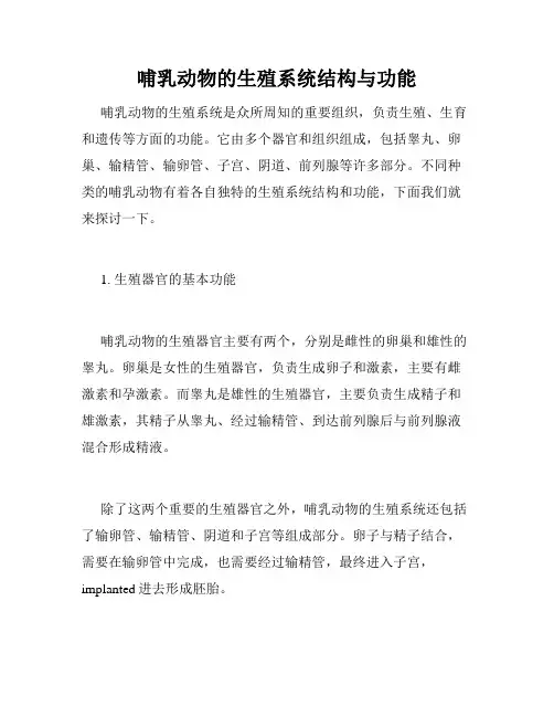 哺乳动物的生殖系统结构与功能