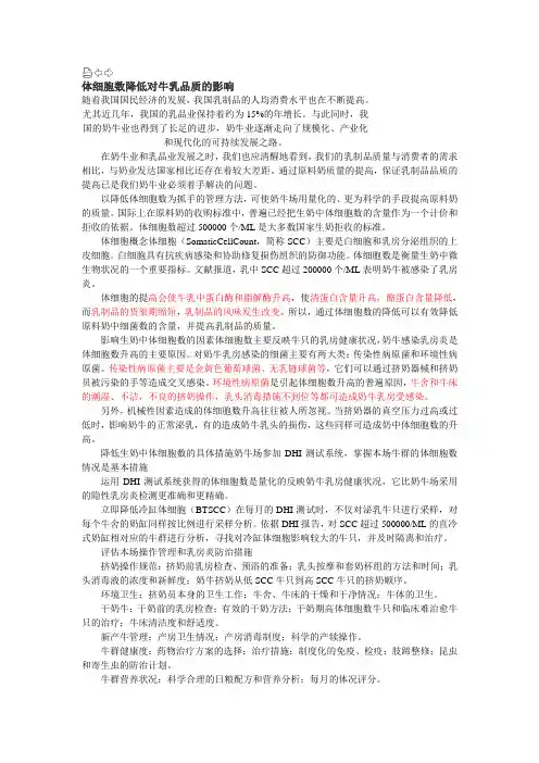 体细胞