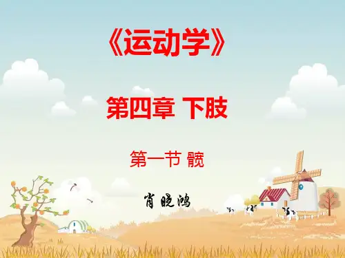 髋部运动学