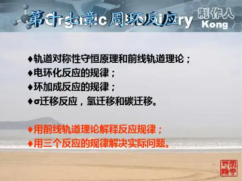 周环反应
